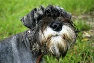 Фотография Кочнева Алексея