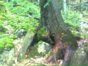 Валік Пряха фотография #38 (источник - https://vk.com/id74666305)