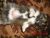 Іра Романюк фотография #24 (источник - https://vk.com/id53294041)