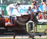 Drosselmeyer Favorite фотография #16 (источник - https://vk.com/id86315511)