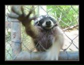 Фотография Владимировича Андрея