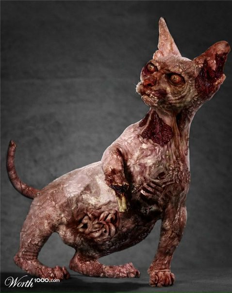 Mario Super фото №35