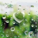 Фотография Догару Наталии