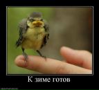 Андрей Лермонтов фотография #13 (источник - https://vk.com/id3879905)