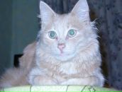 Фотография Кожуховой Юли