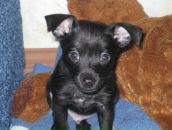 Фотография Петровой Александры