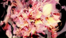 Фотография Захаровой Алисы