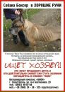 Владимир Амплеев фотография #5 (источник - https://vk.com/id10189808)