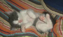 Фотография Горяиновой Аси