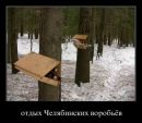 Міша Янішевський фотография #18 (источник - https://vk.com/id53941087)