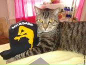 Фотография Perevoshchikova Anna