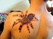 Рiтуська Делідон фотография #11 (источник - https://vk.com/id85096813)