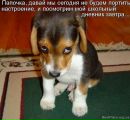 Фотография Исламовой Ильнары