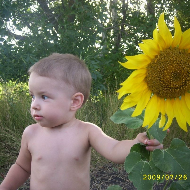 Дмитрий Миклис фотография #16