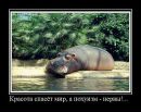Христя :))) фотография #17 (источник - https://vk.com/id86757270)