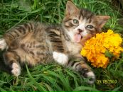 Іннуся Ануфрієва фотография #11 (источник - https://vk.com/id53040006)