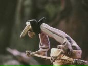 Фотография Лапина Юрия