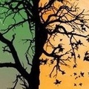 Іра Шикітка фотография #6 (источник - https://vk.com/id121749579)