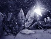 Фотография Специановой-Кухаренко Екатерины