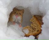 Андрій Федоров фотография #26 (источник - https://vk.com/id91938075)