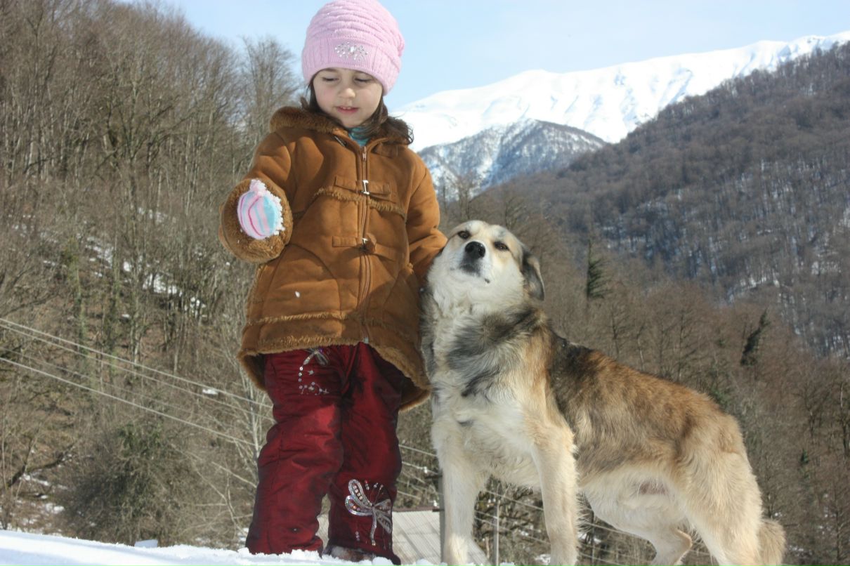 Антон Козакуло фотография #45