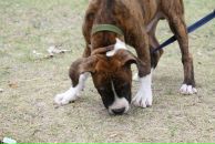 Кирилл Митяев фотография #17 (источник - https://vk.com/id6828811)