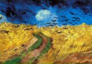 Фотография Твалтвадзе Тимура