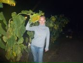 Фотография Лисиной Наташи