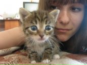 Фотография Коваль Евгении