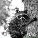 Фотография Назарук Анны