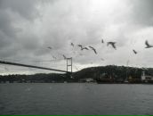 Yuliya Dechitmaa фотография #7 (источник - https://vk.com/id25813809)