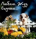 Міша Греба фотография #2 (источник - https://vk.com/id78474519)