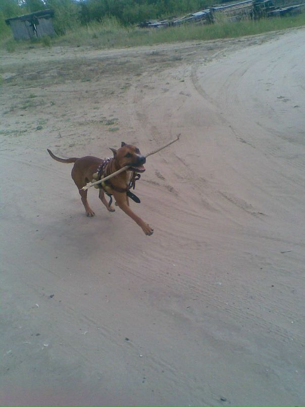 Михаил Сидоров фотография #40