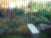 Фотография Бабакова Андрея