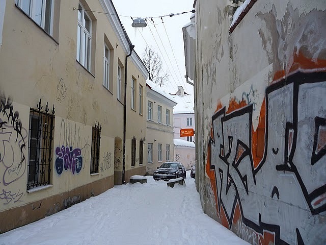 Даниил Горбатенко фотография #26