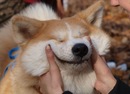 Олег Кільчицький фотография #14 (источник - https://vk.com/id117673212)