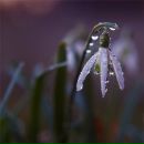 Фотография Егоров Юрий