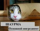 Коля Карабін фотография #47 (источник - https://vk.com/id108576739)
