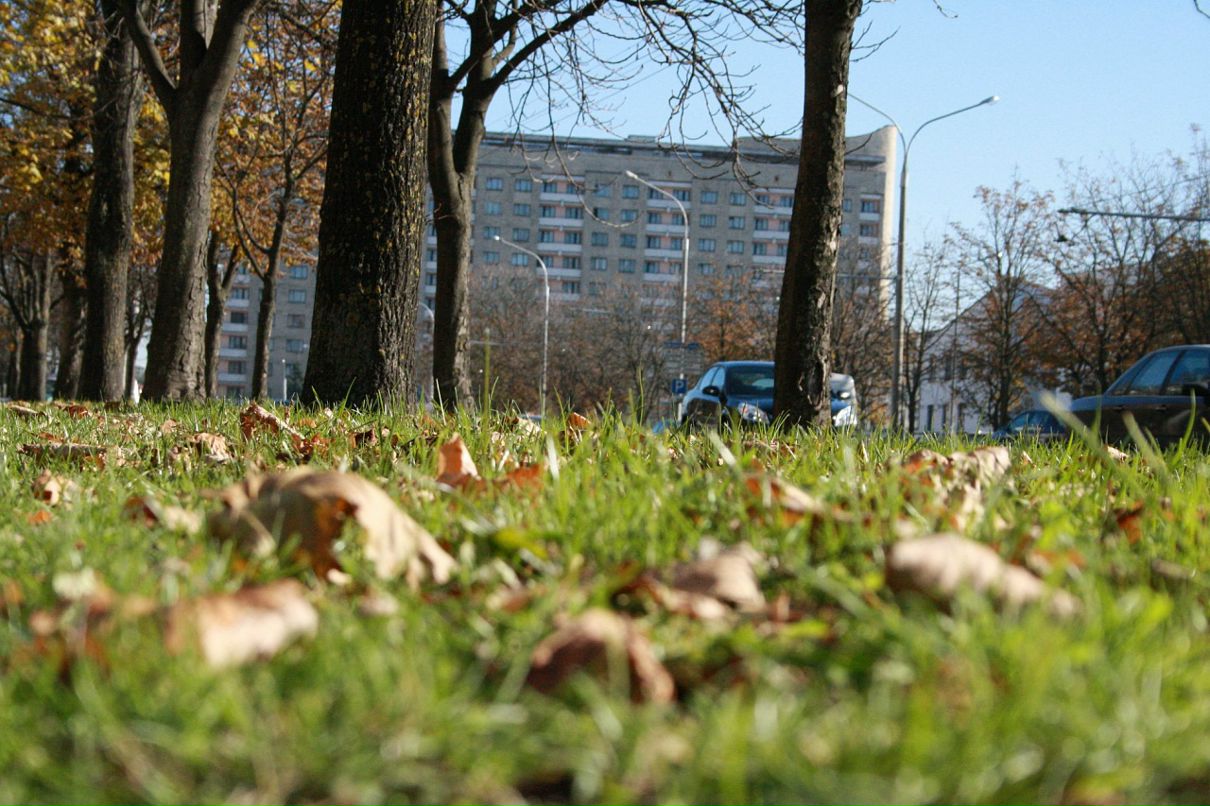 Андрей Рогалевич фотография #43