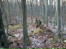 Женя Мацієвський фотография #41 (источник - https://vk.com/id38082246)