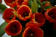 Фотография Успенской Марии