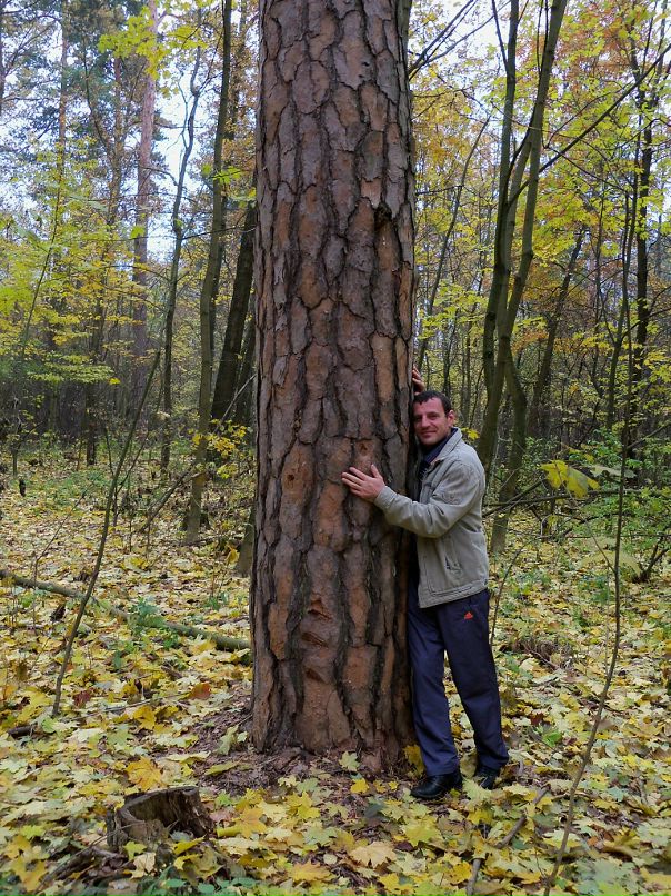 Сергей Ткаченко фотография #17