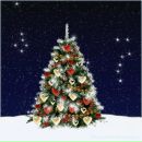 Вікторія Мартиненко фотография #49 (источник - https://vk.com/id65118713)