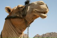 Алексей Малышкин фотография #36 (источник - https://vk.com/id2426457)