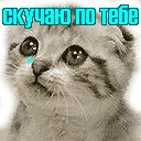 Анастасія Петрунишин фотография #22 (источник - https://vk.com/id163340309)