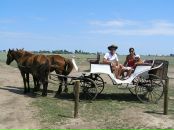 Оля Данилиха - папірник фотография #50 (источник - https://vk.com/id78377683)