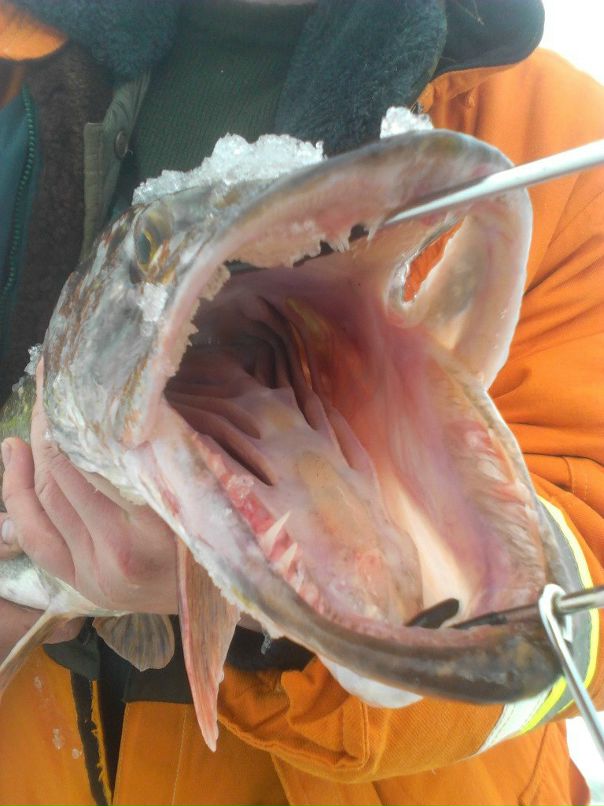 Андрей Гордейко фотография #22