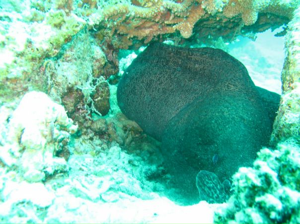 Евгений Коновалов фото №43