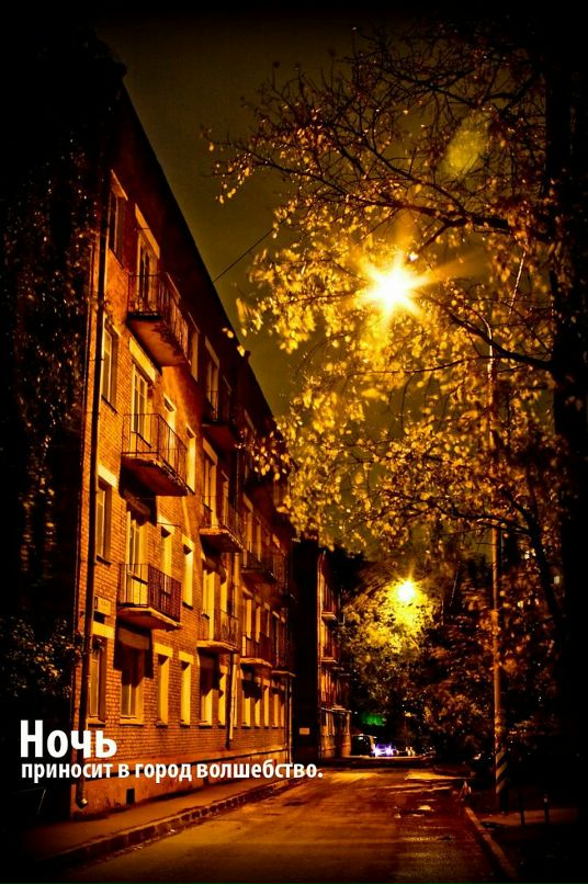 Денис Никитин фотография #8