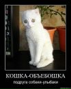 Фотография Заиченко Натальи